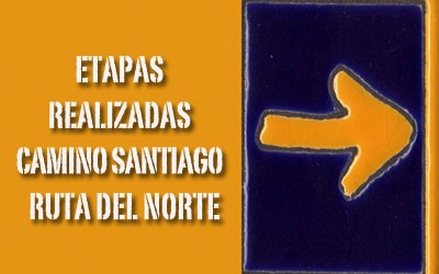 CAMINO SANTIAGO (resumen)