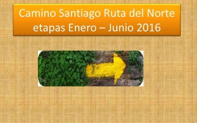 CAMINO SANTIAGO (resumen total)