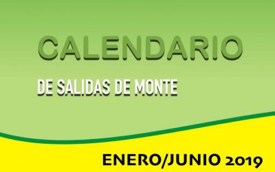 SALIDAS MONTE ENERO/JUNIO 2019